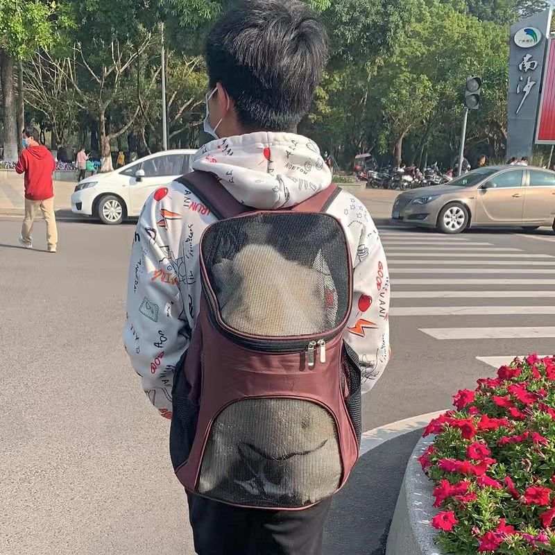 Man carrying a backpack pet bag with a cat visible through the mesh window while walking outdoors