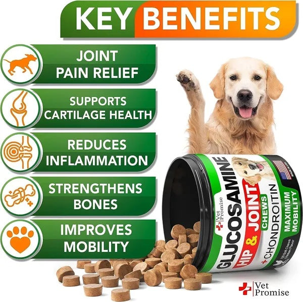 Glucosamine for Dogs - Hip & Joint Supplement 240 Chews - Purrfect Pet Haven