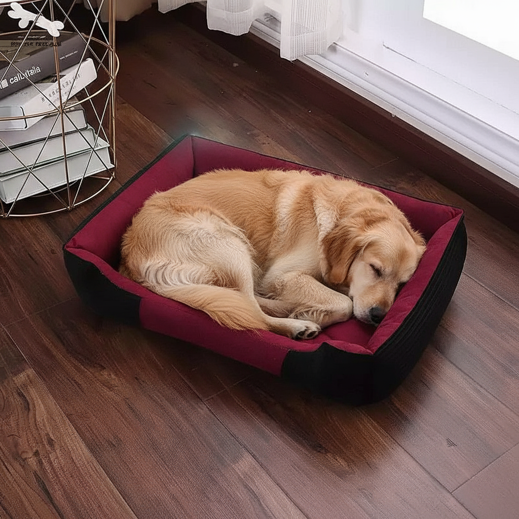 Blue pet bed with Golden Retriever - correct reference
