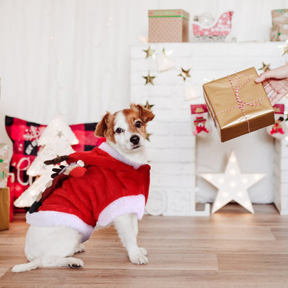 Christmas Santa Reindeer Pet Outfit - Holiday Coat with 3D Antlers