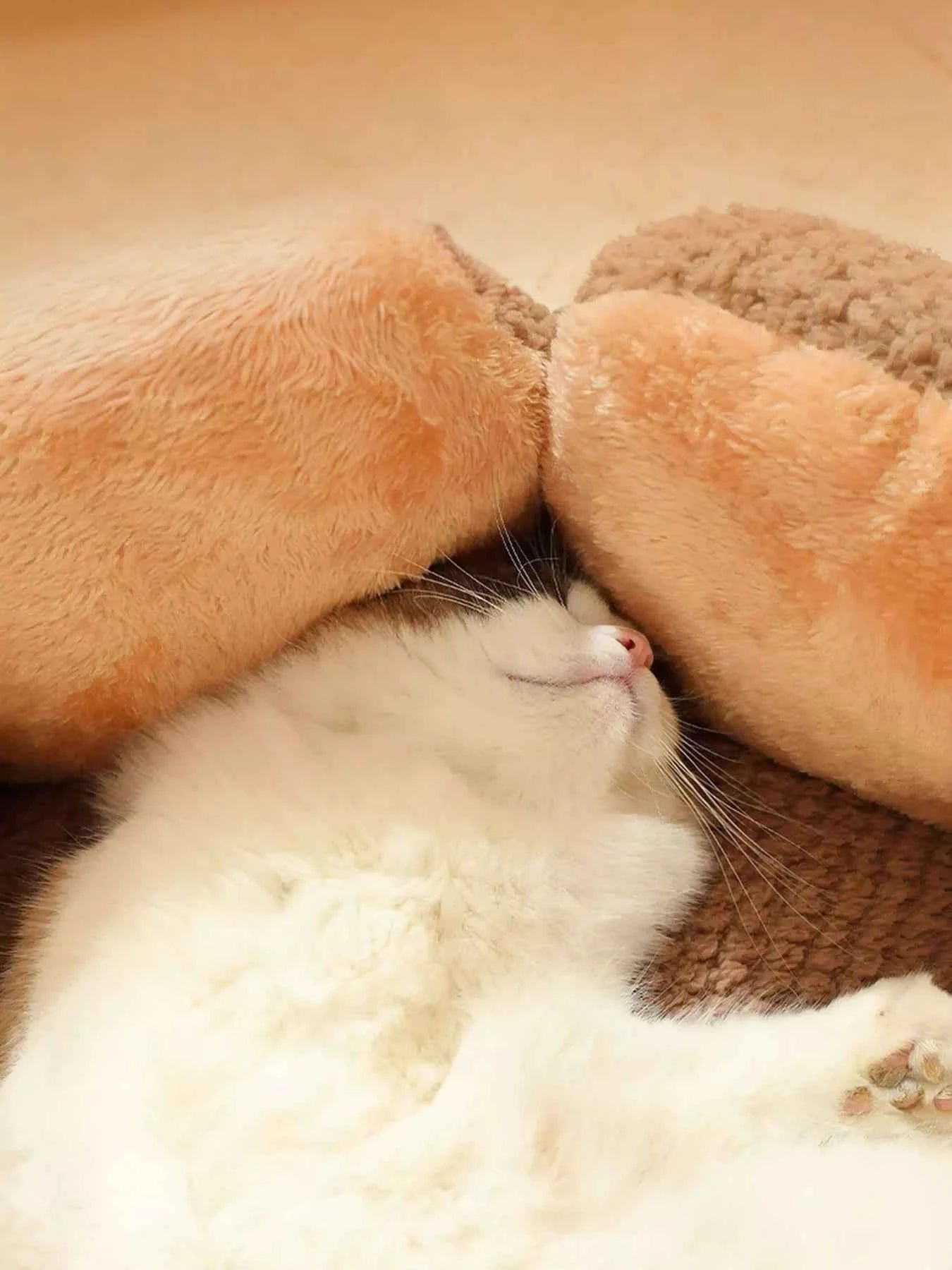 Flower Petal Plush Cozy Pet Nests