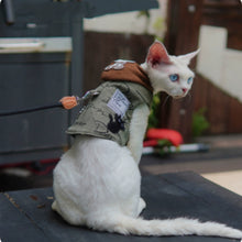 White cat with blue eyes wearing a small jacket on a leash.