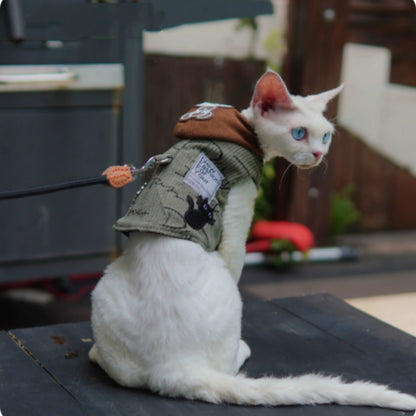 White cat with blue eyes wearing a small jacket on a leash.