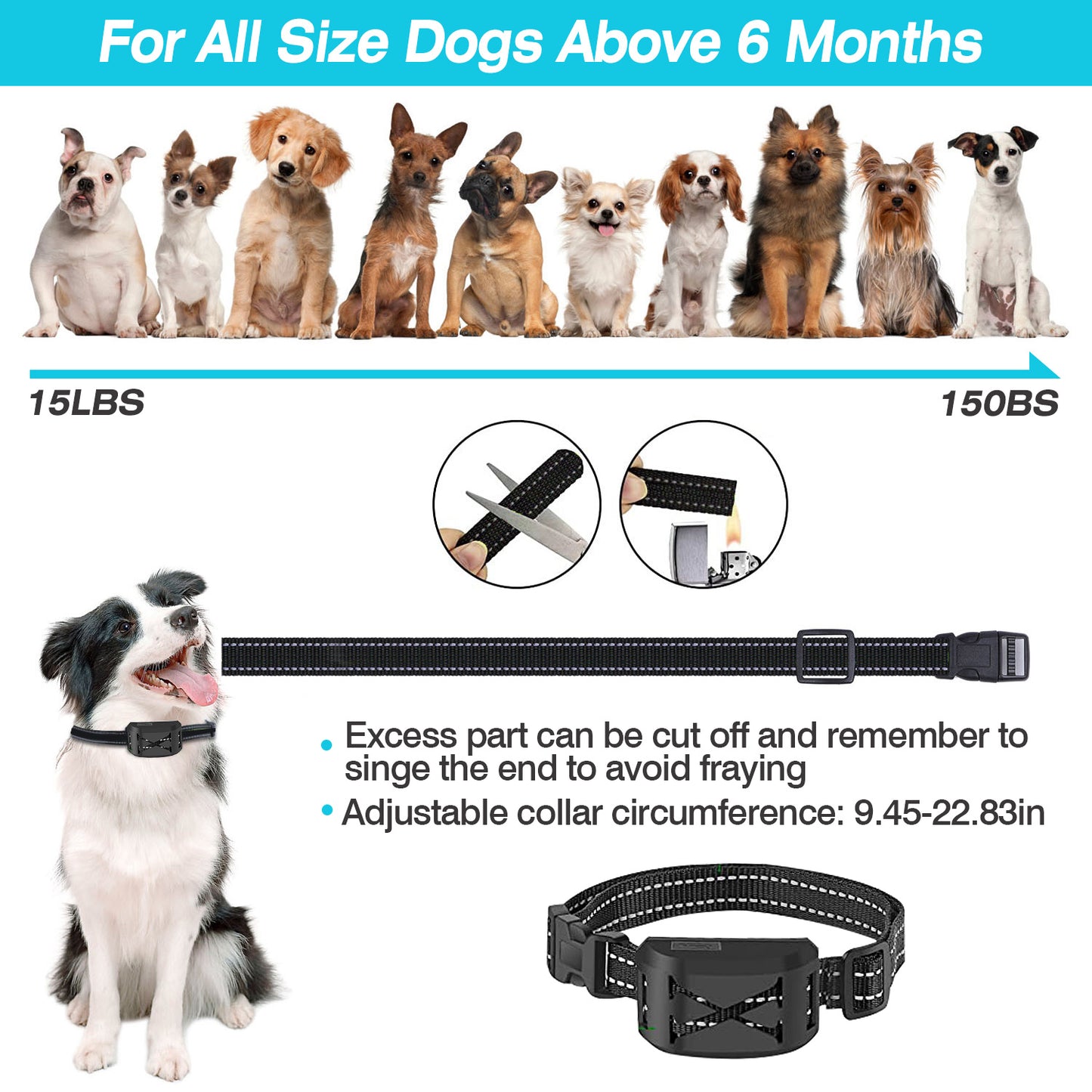 Dog Wireless Fence 2-in-1 - Training Collar System 2 Receivers