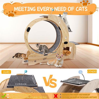 Cat play area with wooden structure and cats interacting, featuring text about meeting cat needs.