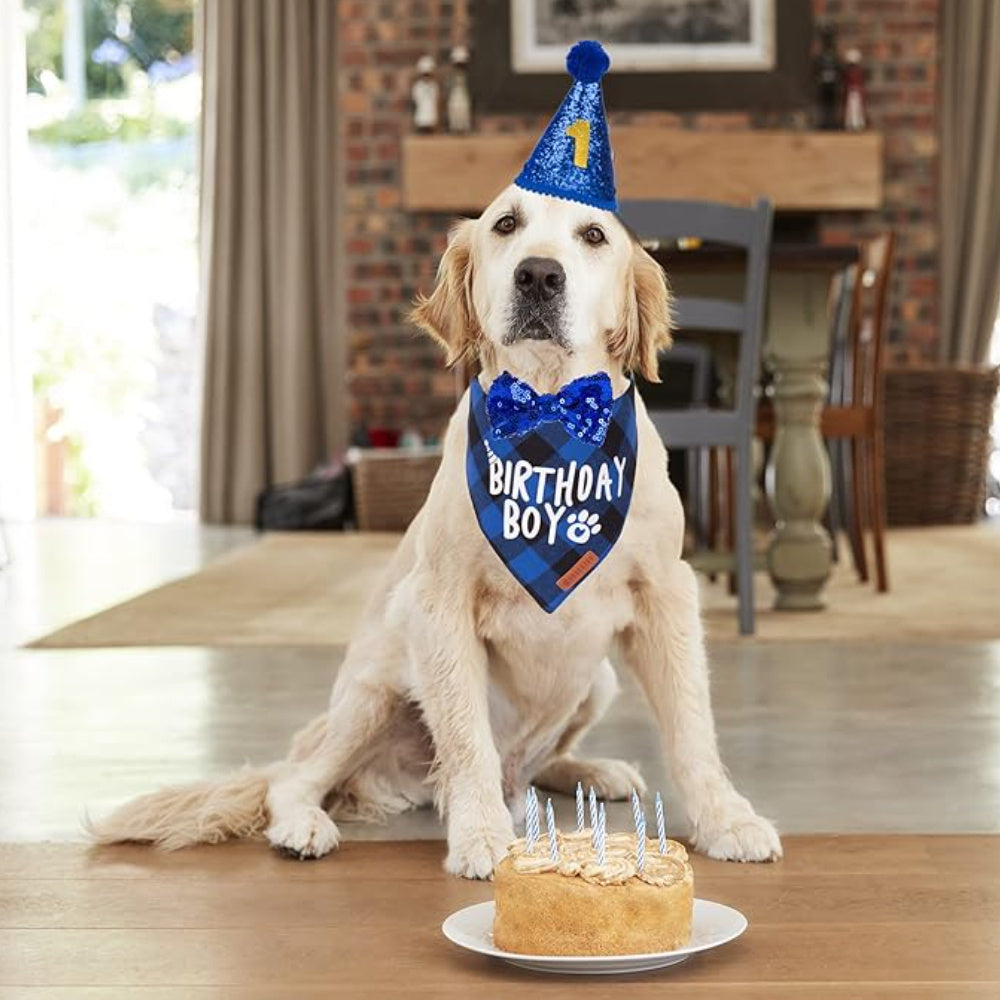 Cute Pet Birthday Boy Party Clothes Including Hats Scarves Bow Ties Birthday Numbers