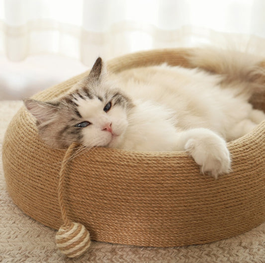 Wefulfil cat resting in round beige cat scratching board with hanging ball toy