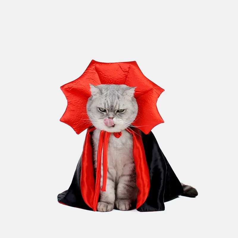 Adorable cat in a black and red Cat Vampire Costume with a dramatic collar for Halloween fun