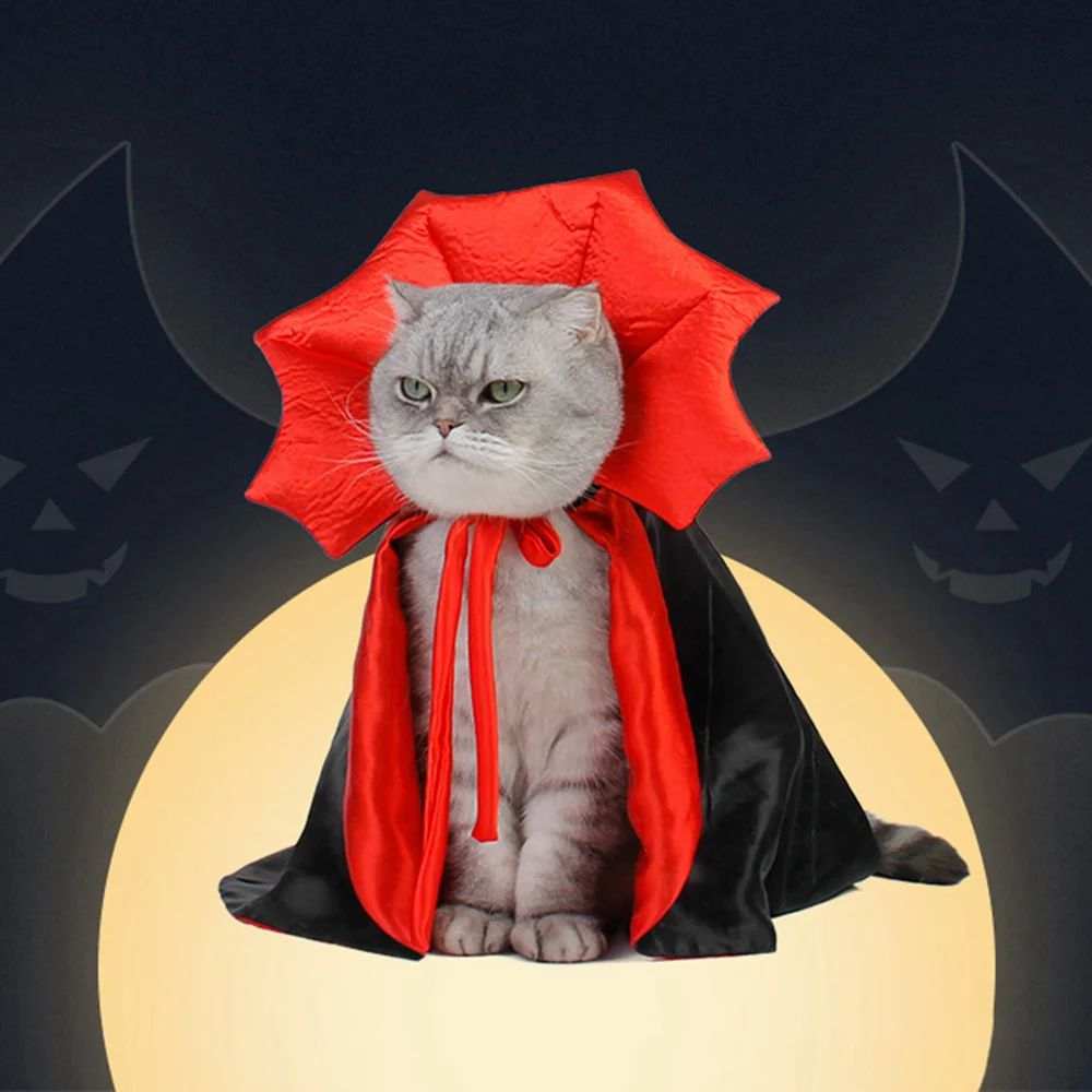 Adorable cat in a Cat Vampire Costume with a red and black cape for Halloween fun
