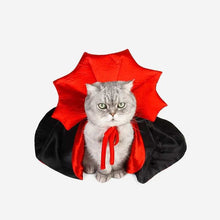 Adorable cat in a Cat Vampire Costume with red and black cape for Halloween festivities