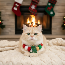 Cat with Christmas collar