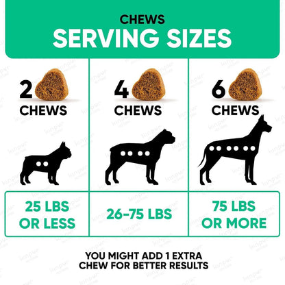 Natural Dog Allergy Chews For Dog Itch Tasty Allergy Relief Pet Supplement For Dry Itchy Skin Hot Spots Seasonal Dog Allergies 180 Anti Itch Immune Treats For Dogs Licking Paws Antihistamine