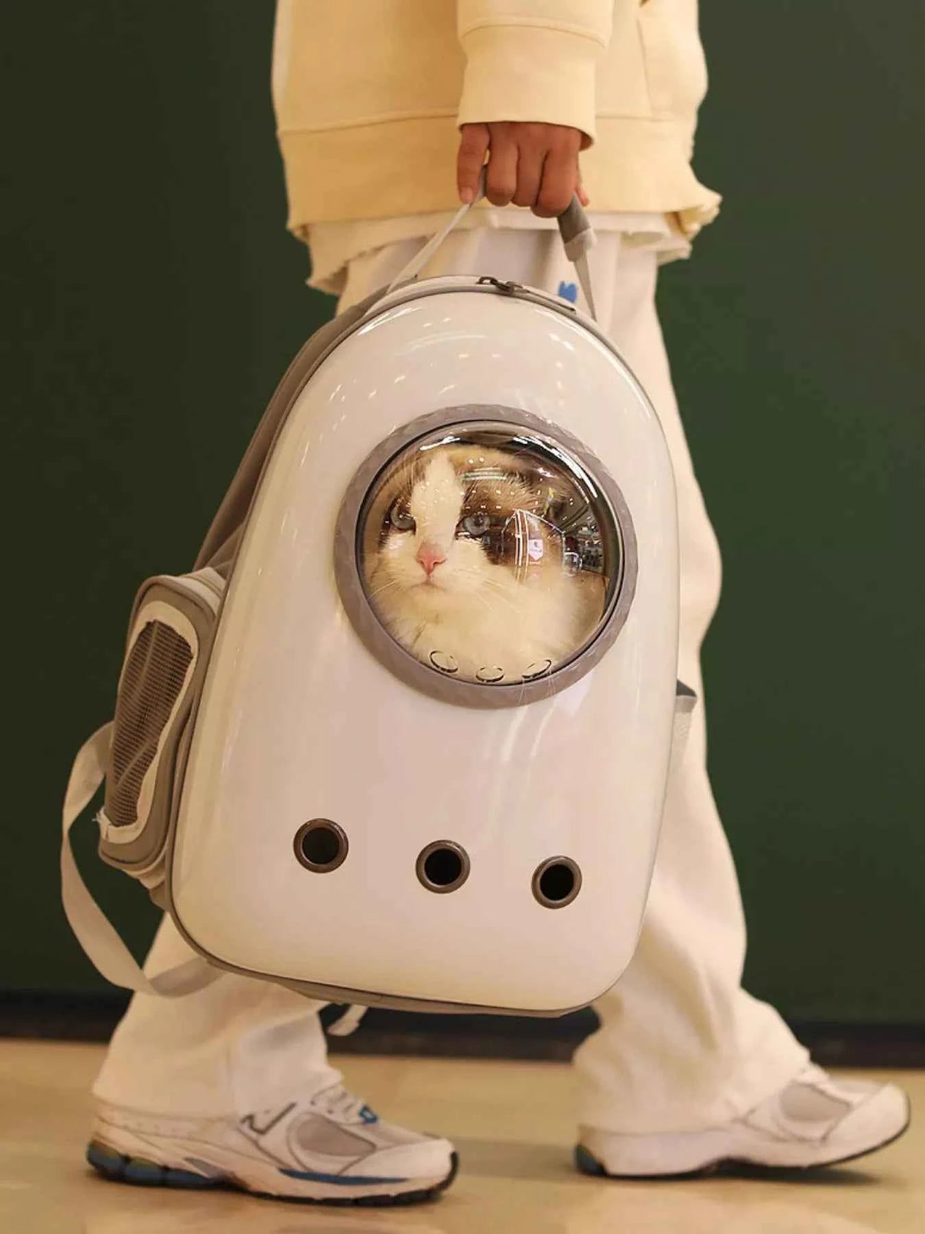 Space Capsule Transparent Pet Carrier Backpack