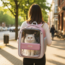 Close-up of woman wearing pink cat carrier backpack