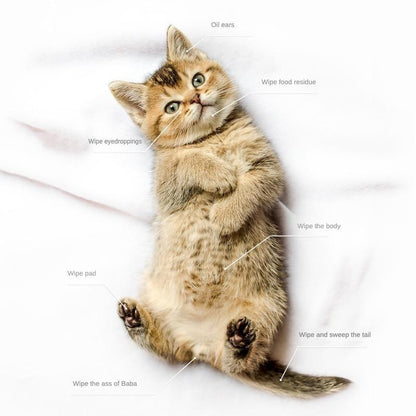 Cute kitten lying down with labeled uses for Coconut Oil Grooming Wipes by Wefulfil