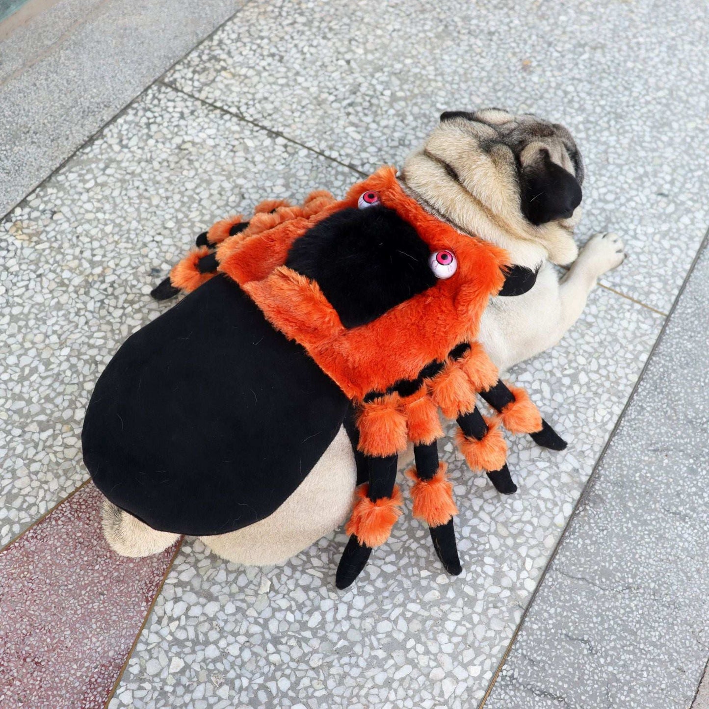 Cute Plush Spider Costume for pets with vibrant colors and detailed design, perfect for Halloween fun