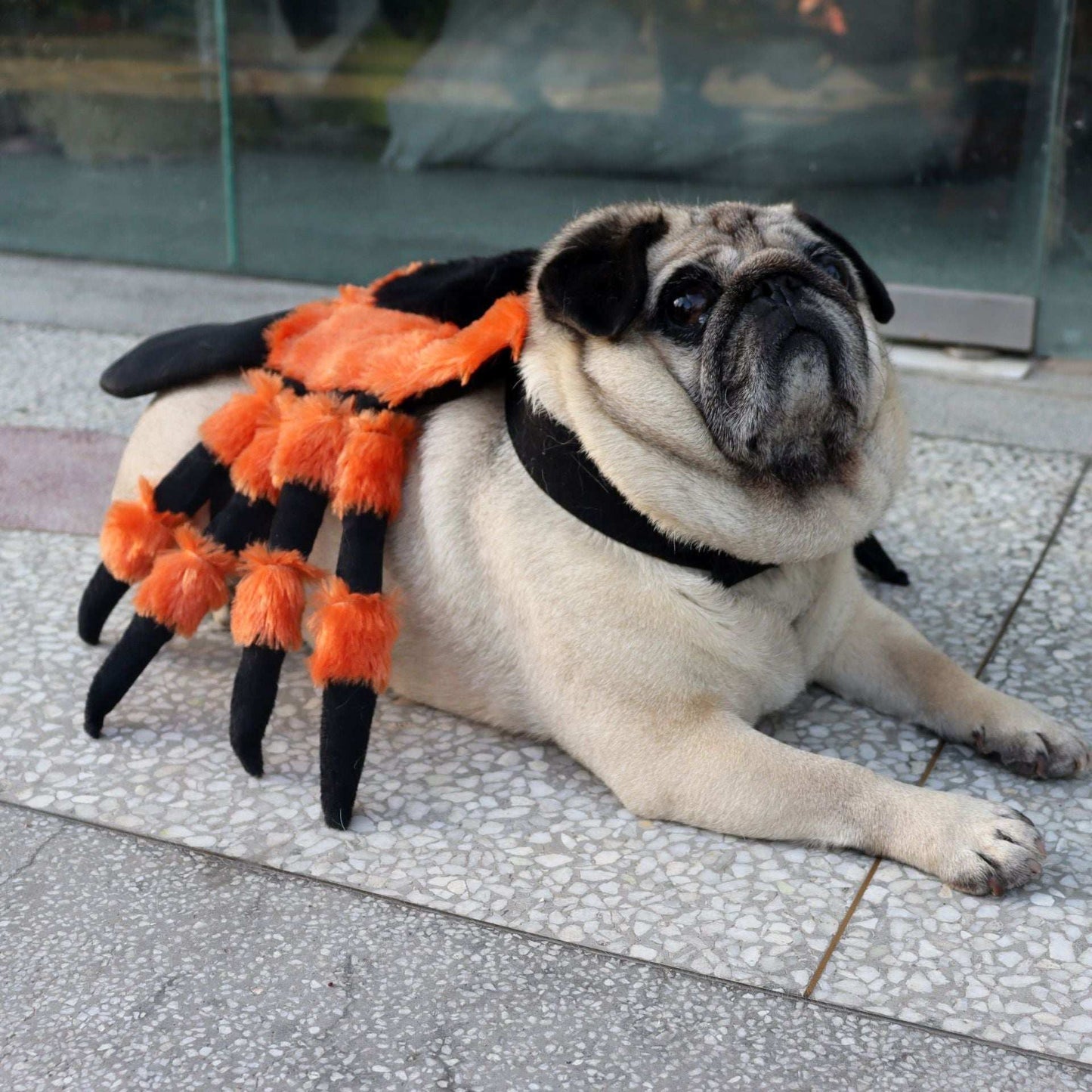 Cute Plush Spider Costume for dogs featuring soft fabric and vibrant orange and black design