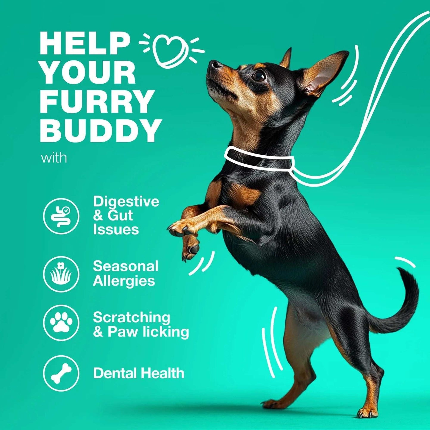 70 Probiotic Chews Support Gut Health, Yeast Balance, Itchy Skin and Allergies For Dogs