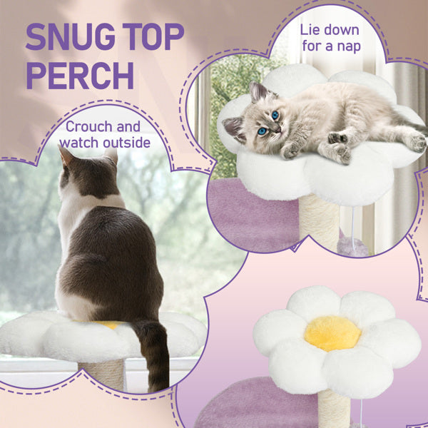 Cat Tree 33" - Multi-Level Purple Tower with Curved Perch