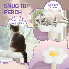 Cat Tree 33" - Multi-Level Purple Tower with Curved Perch