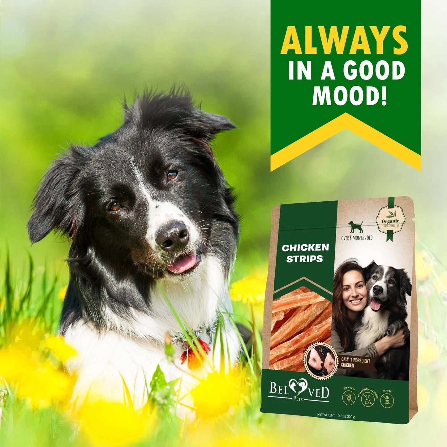 Human Grade Grain Free Meat Chicken Strips Dog Treats 10.6 Oz