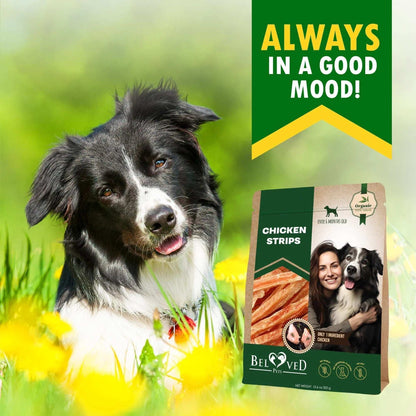 Human Grade Grain Free Meat Chicken Strips Dog Treats 10.6 Oz