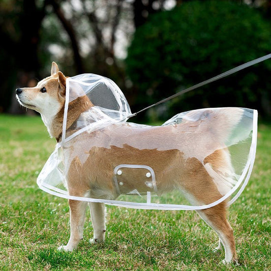 White Edge Transparent Pet Raincoat with Full Hood