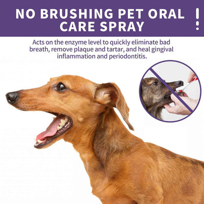 Pet Teeth Cleaning Spray - Natural Dental Care for Dogs & Cats - Purrfect Pet Haven