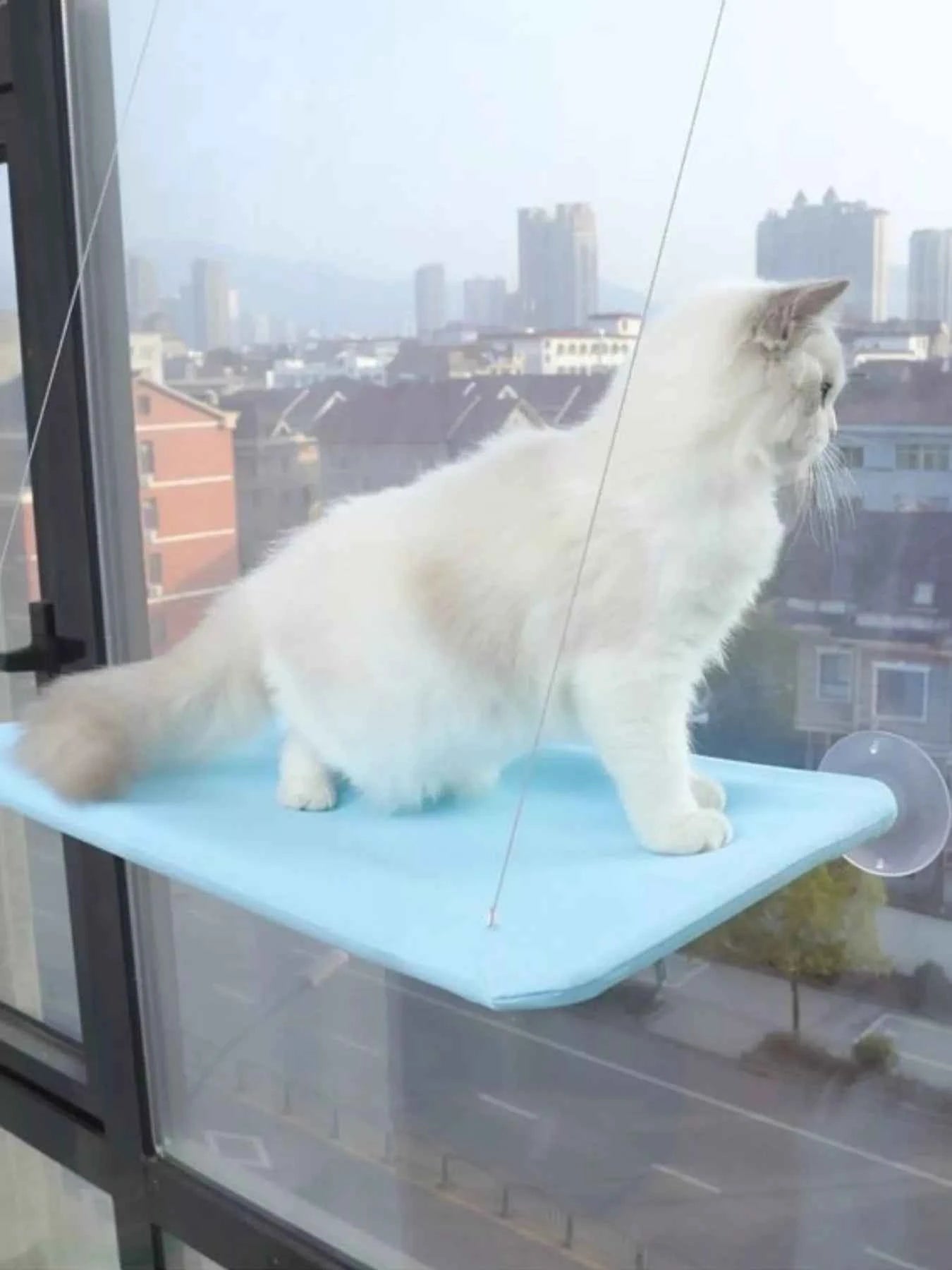 Window Perch Cat Hammock with Suction Cups