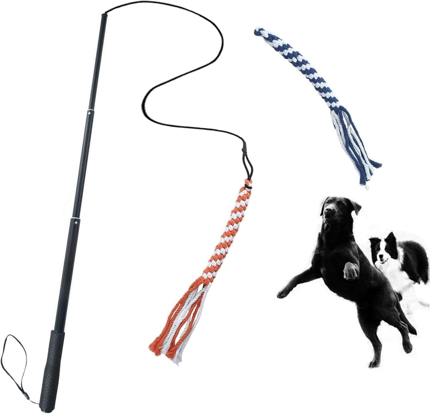 Dog Flirt Pole - Extendable Teaser Wand for Training