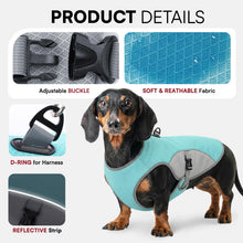 Dog Cooling Vest with D-Ring – For Active Pup Adventures