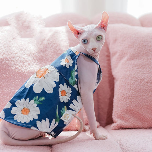 Cat wearing a blue floral dress on a pink couch