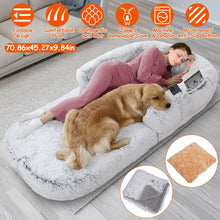Large Foldable Human Size Dog Bed With Pillow