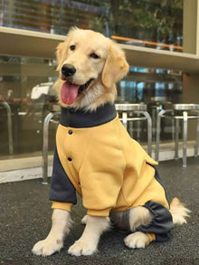 Two-Tone Dog Jacket