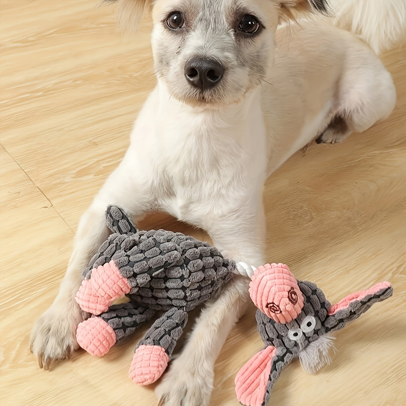 Wefulfil dog with gray and pink plush dog chew squeaky toy on wooden floor