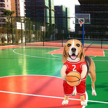 Cute beagle wearing a Dog Halloween Costume playing basketball on a court