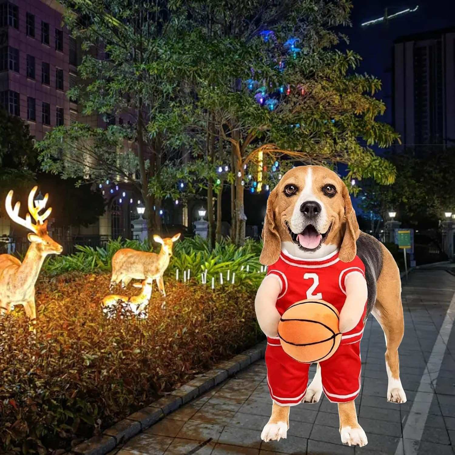 Funny dog Halloween costume featuring a beagle wearing a basketball outfit holding a ball