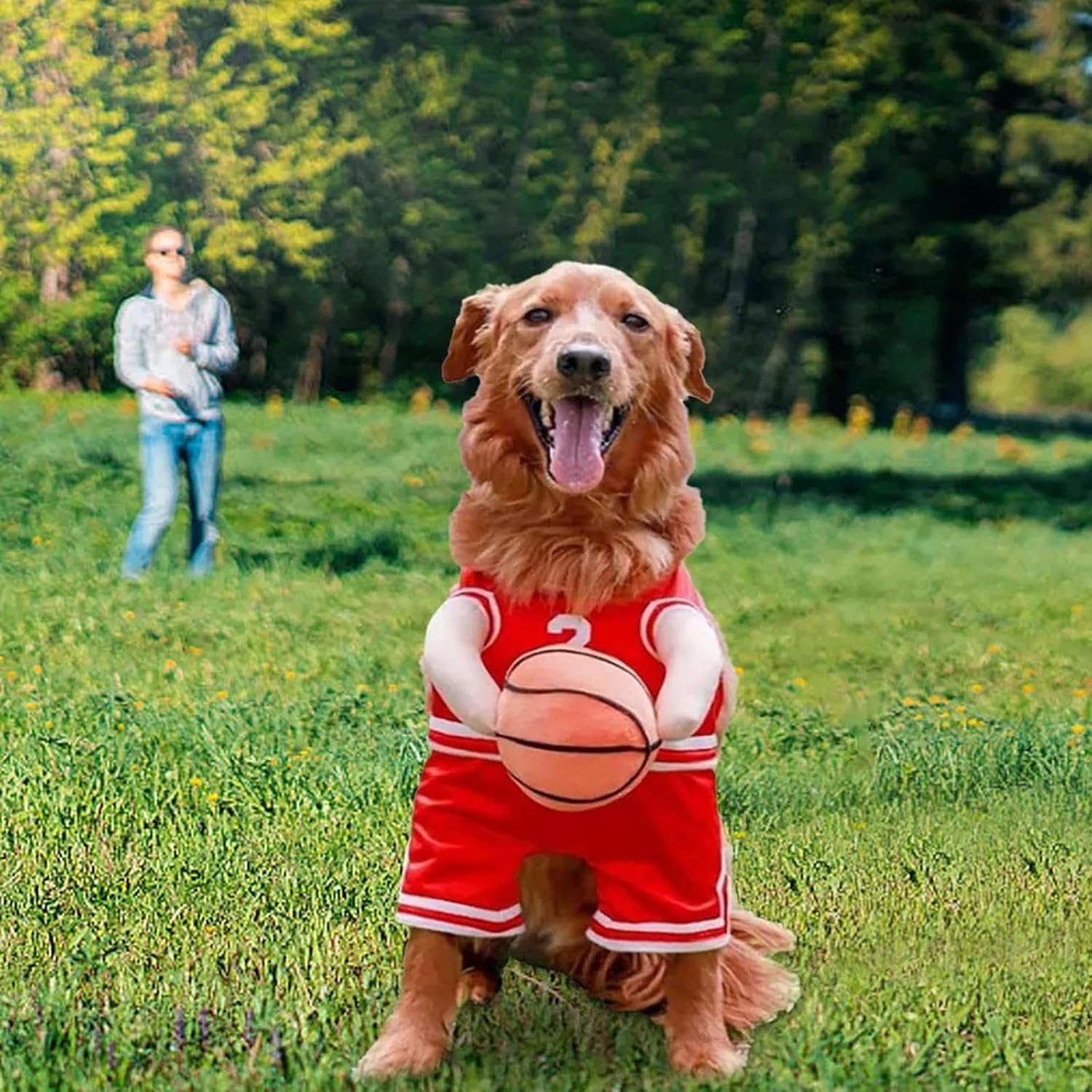 Golden Retriever in a red Dog Halloween Costume styled as a basketball player outdoors
