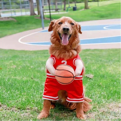 Golden Retriever wearing a red dog Halloween costume as a basketball player with a basketball