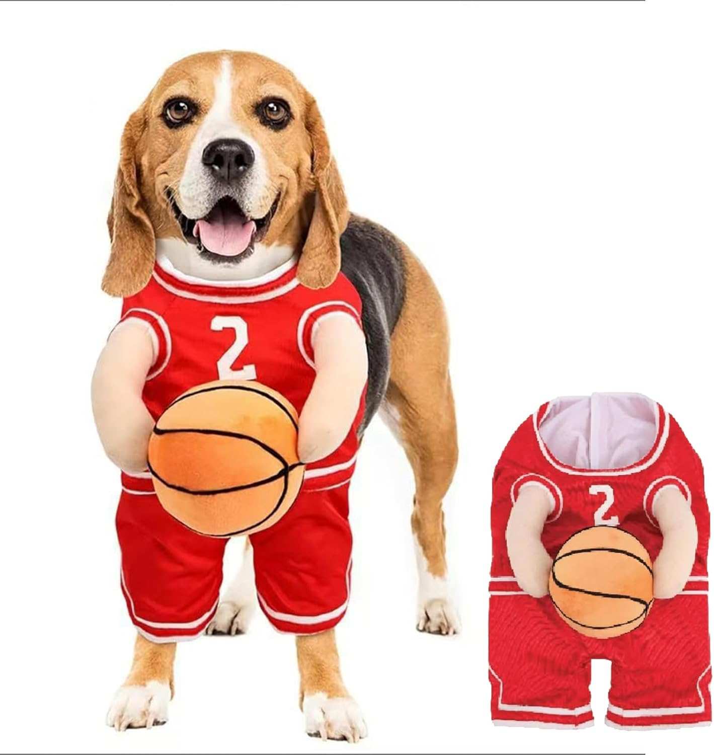 Beagle wearing a red basketball outfit for a fun Dog Halloween Costume with a ball prop