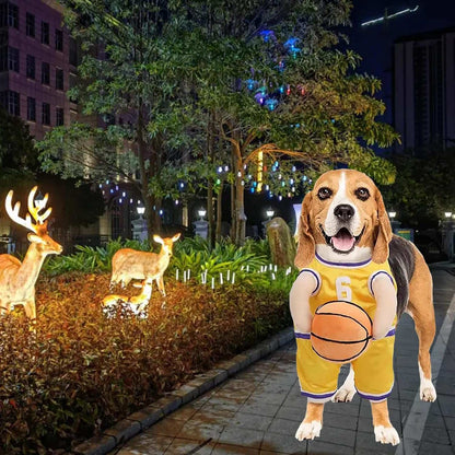 Beagle in a Dog Halloween Costume playing basketball outdoors at night with lights and deer in the background