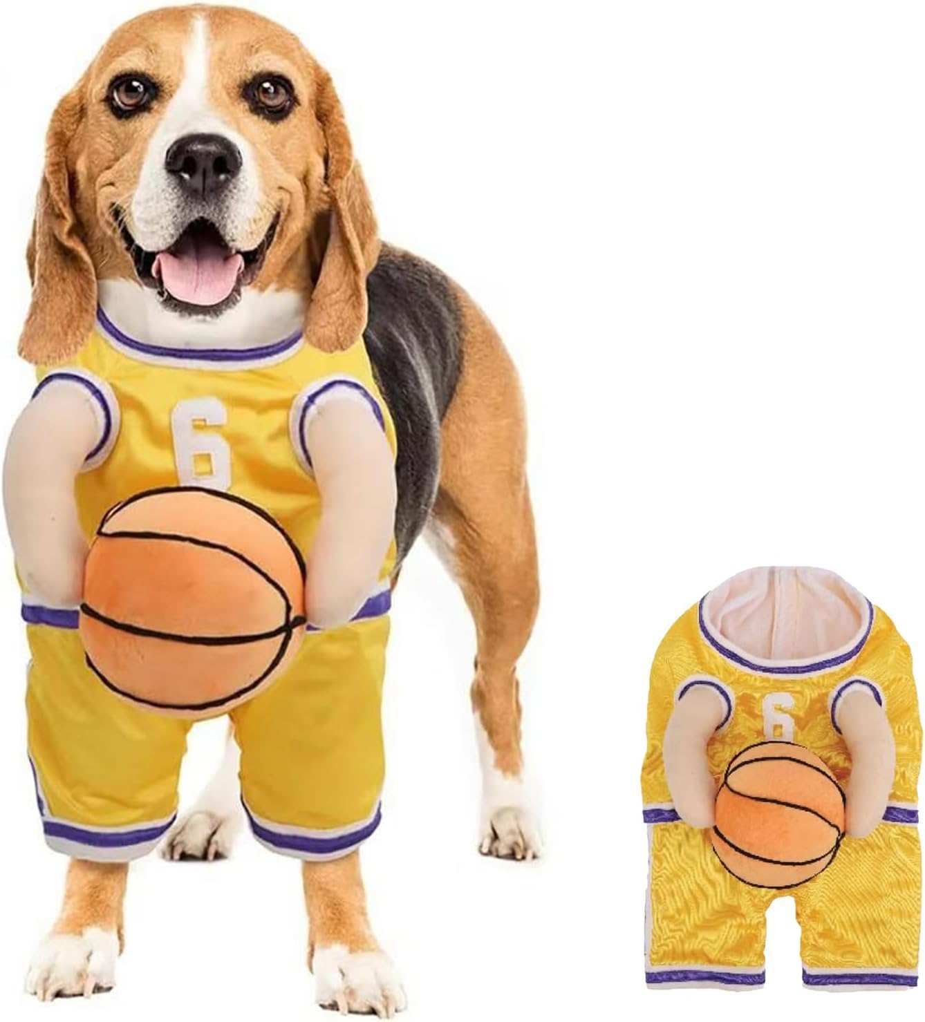 Beagle wearing a Dog Halloween Costume styled as a basketball player with a plush basketball