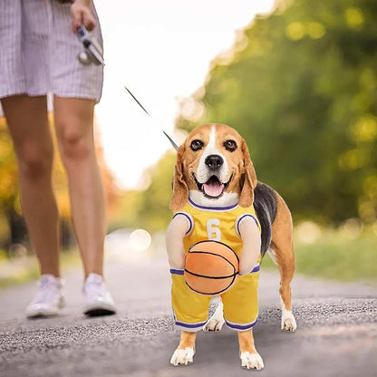 Beagle wearing a basketball jersey and shorts, perfect for a fun Dog Halloween Costume