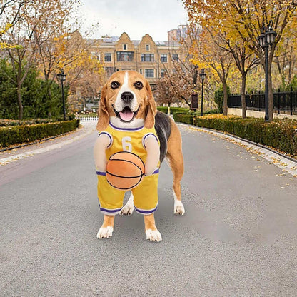 Beagle in a Dog Halloween Costume, dressed as a basketball player holding a ball on a scenic street