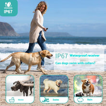 Woman walking a Labrador on the beach with Dog Trainer Bark Stopper for effective training
