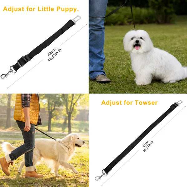 Wefulfil pet leash with Dual Purpose Adjustable Safety, adjustable length for small puppies and larger dogs