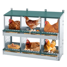 6-Compartment Chicken Nesting Box - Roll-Away Egg Collection