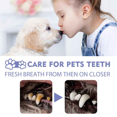 Pet Teeth Cleaning Spray - Natural Dental Care for Dogs & Cats - Purrfect Pet Haven