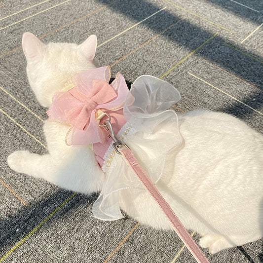 White cat wearing a pink bow and white dress on a pavement