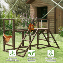 Chicken Coop Accessories - Activity Play Set with Swings - Purrfect Pet Haven